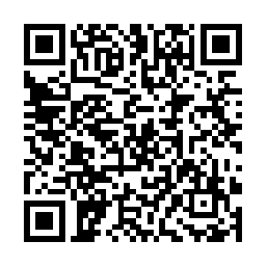 杨青风只是望向坐在溪畔陪幼夔戏耍的世子殿下背影二维码生成