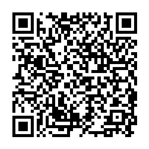 杨静想不通陈观为什么不大大方方地向同学们介绍王萌是他的对象二维码生成