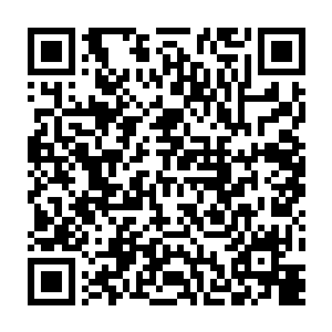 杨风三种火焰必须得有意识的情况下才能和地心神焰本源核心也就是那团火焰二维码生成