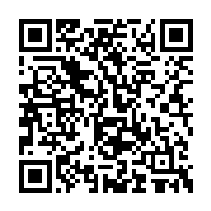 杨风也从未来的苍穹融血丹那里得到了一个信息二维码生成