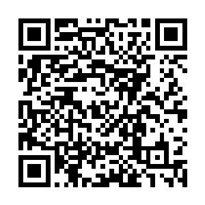 杨风也是挡下了他的攻击之后才知道了自己的防御强度二维码生成