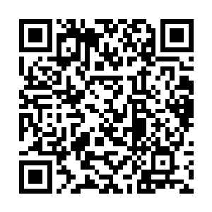 杨风也没有来得及询问欧阳若兰这一招为何能用出来二维码生成