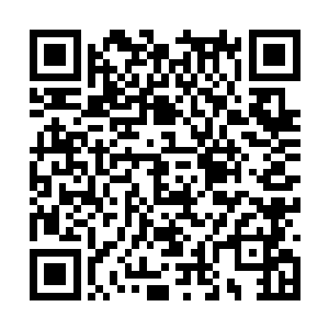 杨风估计就算是再变态的人估计也是不会答应的吧二维码生成