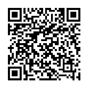 杨风几个只能是眼睁睁的看着杨柔和杨林被那家伙带走二维码生成
