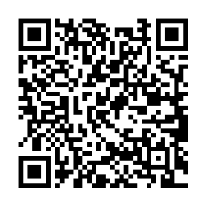 杨风和小帅几个菜能够勉为其难的挡下了他的攻击二维码生成