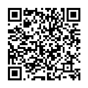 杨风和欧阳若兰乘坐的金属生命跟着战小云的金属生命二维码生成