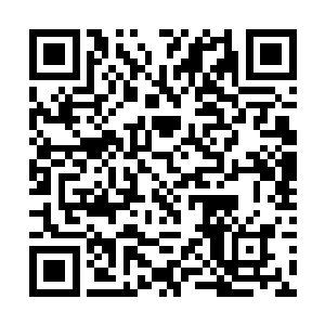 杨风和欧阳若兰也跟着一个服务人员进入了一间包厢二维码生成