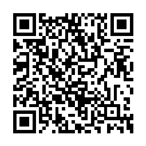 杨风和欧阳若兰看到自己身旁的夺命血莲消失了二维码生成