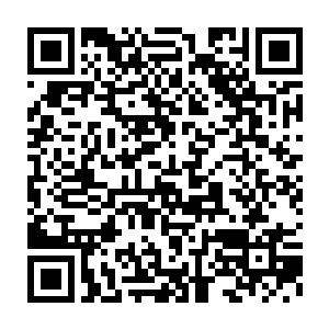 杨风和索菲亚四种火焰融合形成的火焰怎么会让这团地心神焰逃走二维码生成