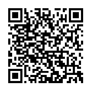 杨风在这传承之墙面前等待了大概几百年的时间二维码生成