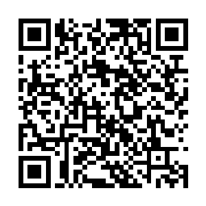 杨风完全可以将三种火焰的意识调入自己的意识海二维码生成