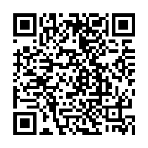 杨风对于向天明和幻盟的大长老也是比较关注的二维码生成