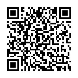 杨风已经不需要神王将鲜血滴在天门印记上面了二维码生成