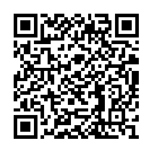杨风很明显的看到向天明的脸上也是惊愕的表情二维码生成