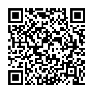 杨风所受过的痛苦太多都比这痛苦要痛苦无数倍二维码生成