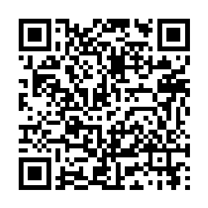 杨风最好还是要寻找一处人迹罕至的地方比较安全二维码生成