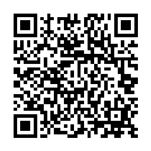 杨风本能的就感觉到这个时日天肯定会相信叶家三祖的话二维码生成