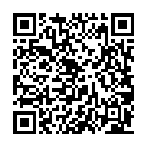 杨风猛然间感觉到自己的手竟然没有一点劲儿了二维码生成