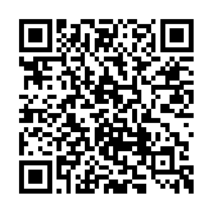 杨风的两个身体分别覆盖了莲花神焰和混沌之火二维码生成