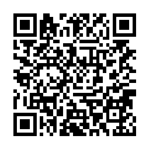 杨风的几种火焰都在外面抵抗着它的火焰的攻击二维码生成