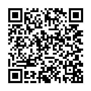 杨风的永恒焦点和欧阳若兰的命运之光已经不分彼此二维码生成
