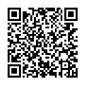 杨风的身体在炼制丹药的过程当中也是慢慢的恢复了二维码生成