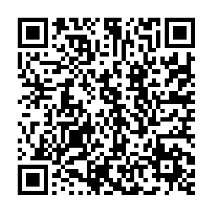 杨风竟然开始燃烧自己的道来提升道的攻击力来消灭他们所掌握的大二维码生成
