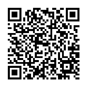 杨风缴获的第一家族的那些绝世神器都是多少有一些瑕疵的二维码生成