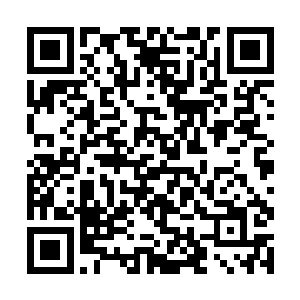 杨风释放的光芒消失了龙飞身前的防御罩也是消失了二维码生成