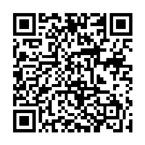 杨齐再次仔细打量了那个正坐在那里专心做饼的少女二维码生成