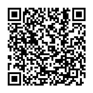 杰克逊担心秦洛用这些树皮草根熬制而成的黑色药汁伤害到母亲的身体二维码生成