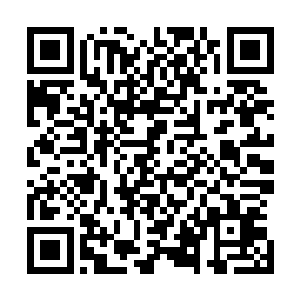 杰和钱小枫两人望着六叔在萧易和马先生两人面前低声下气二维码生成