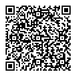 杰姆森·洛奇的动作自然第一时间被游戏部那些正密切关注着七国会议一举一动的中层们知道了二维码生成