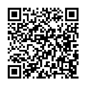 杰德家族老祖的心脏不受控制的大力跳动了起来二维码生成