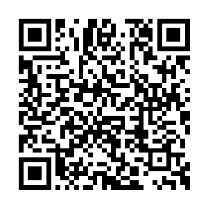 杰西卡冷冷地指着那密密麻麻的地底生物群说道二维码生成