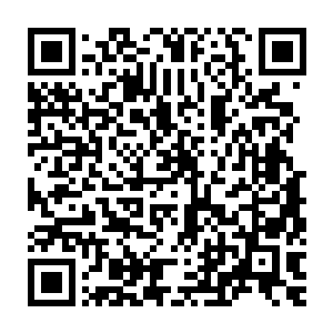 杰里·卡伦和廖辽的销售数据……李谦手里拿不到美国这边的销售数据二维码生成