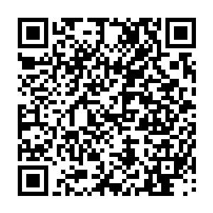 松浦家的侍女赤着玉足将海鲜料理端到松浦家督和龙造寺隆信两人几案上二维码生成