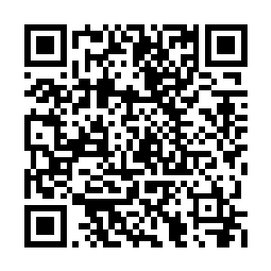 松浦家的大厨原是幕府将军足利义晴府上的大厨二维码生成