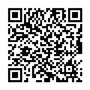 极其细微但是一声接一声的高频震颤嗡鸣声如海浪席卷二维码生成