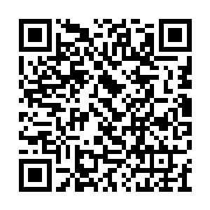 极品筑基丹的成功率要比普通的筑基丹困难的多二维码生成