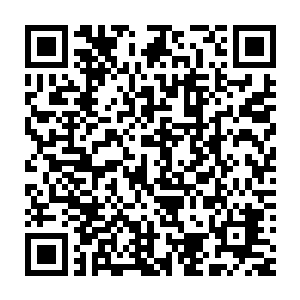 极富节奏感的进攻就好像是一道道落雷狠狠砸落在临安城众人的耳边二维码生成