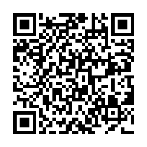 极少数即将用于展示的奴隶则被注射了微量兴奋药剂二维码生成