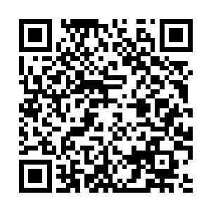 极无贰不知道自己是以什么心思望着他们走出门的二维码生成