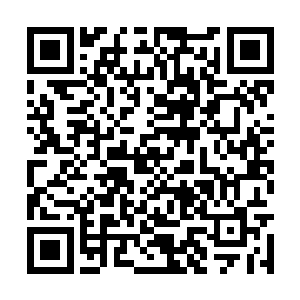 极昼圣炎红莲战士的威力已经提升到天阶七星层次二维码生成