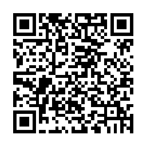 极有可能下一秒钟就将狙击枪瞄准舞台上的苏紫萱二维码生成