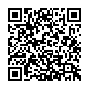 极有可能同时也是两所大学的教授或者客座教授二维码生成