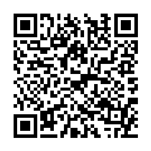 极有可能被傀儡王以秘法潜入并重创了您们的大脑二维码生成