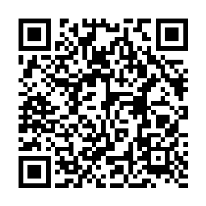 极有耐心地布置骗局……就为了让我做那么容易的一件事二维码生成