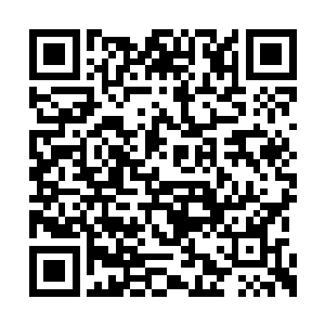 极通人性的夜刃豹也能够感受到苏林的焦急心情二维码生成