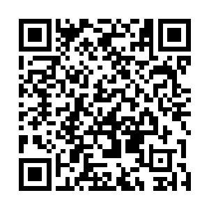 构建成了公爵工作室唯一具备真正职能的部门――编审部二维码生成